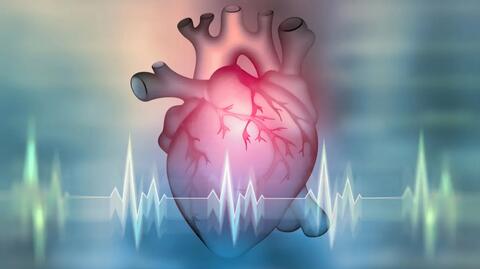 Update Antikoagulation bei Patienten mit ACS/PCI und Vorhofflimmern